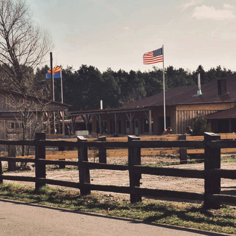 Western Ranch Quarter und Paint Horse in Kolkwitz Wiesendorf