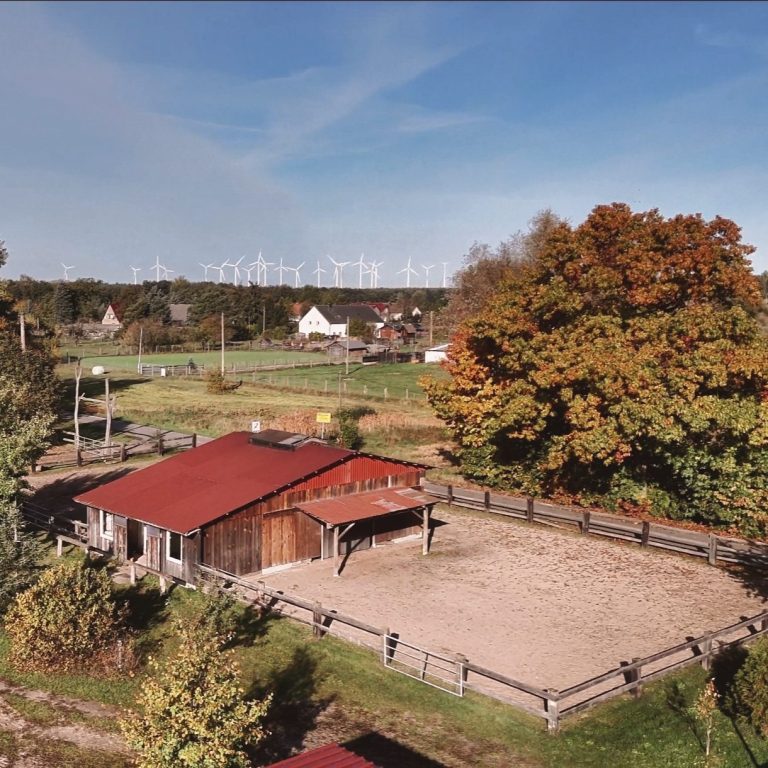Einzigartige und artgerechte Pferdehaltung im Spreewald