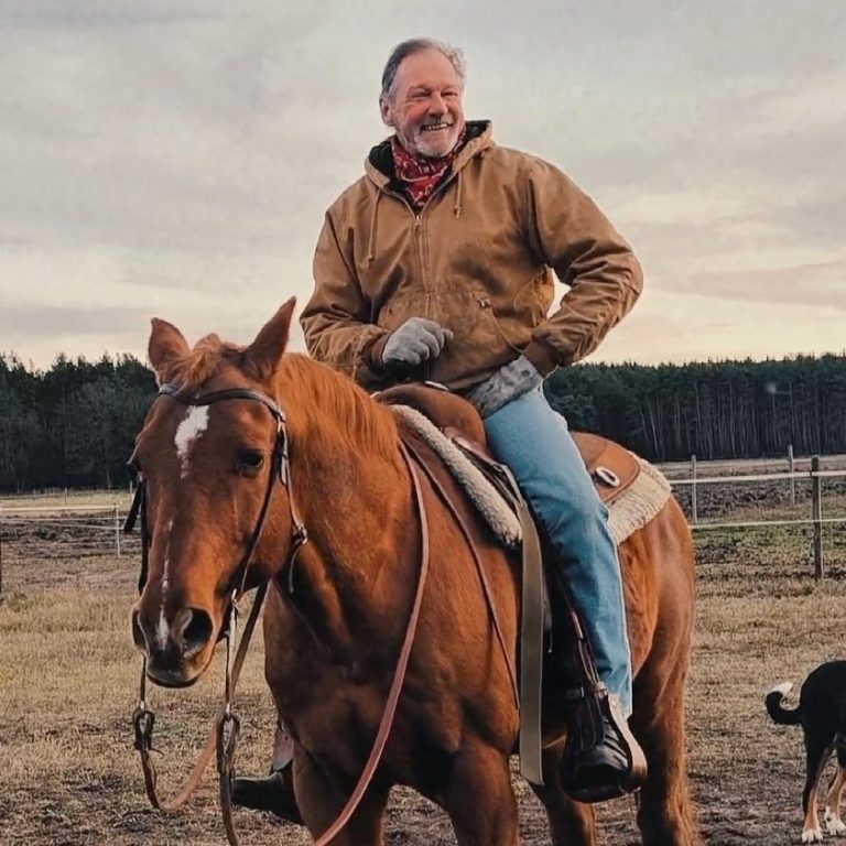 Quarter Horse auf der Cattlemans Ranch in Kolkwitz